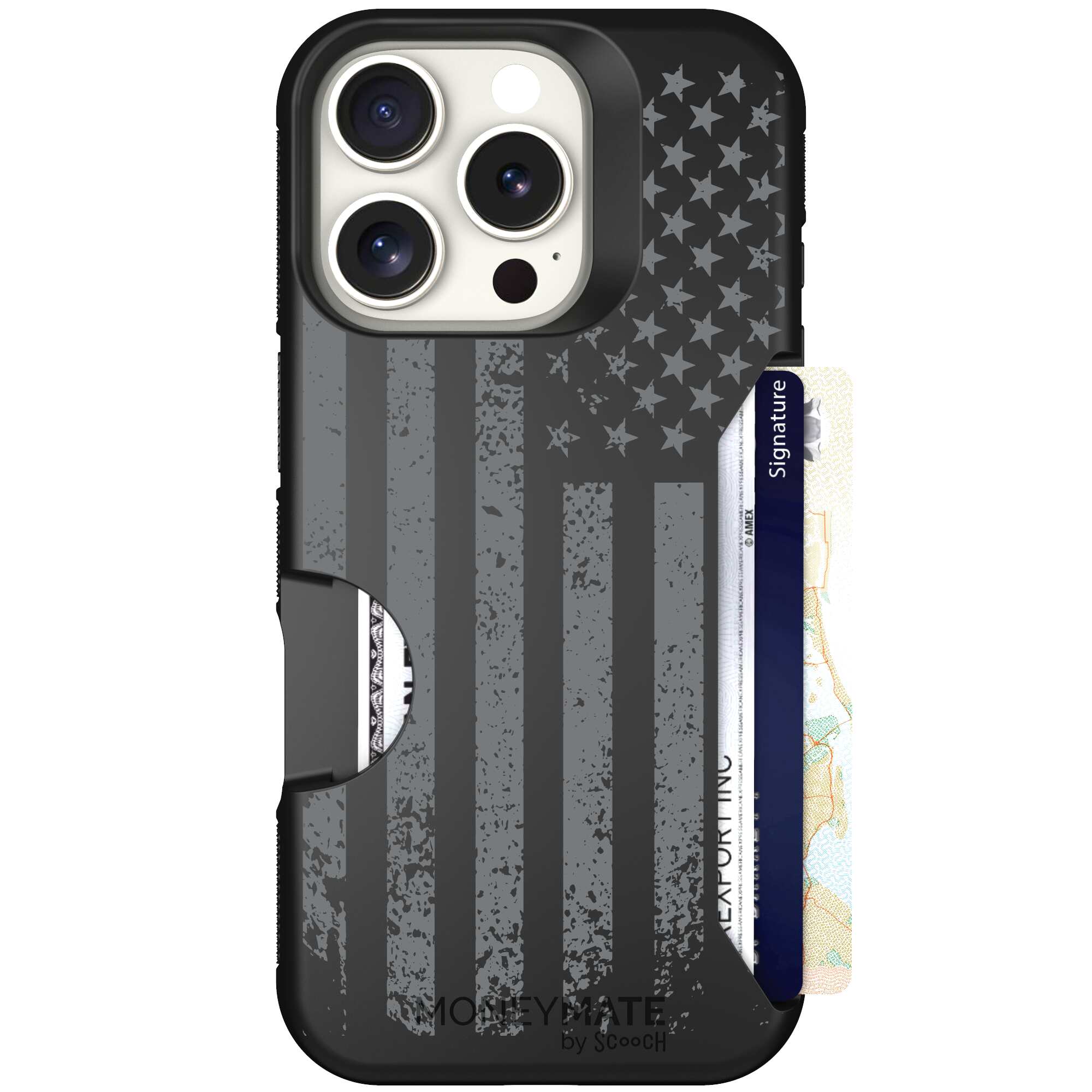 Weathered Glory | website | iPhone 16 Pro | Case