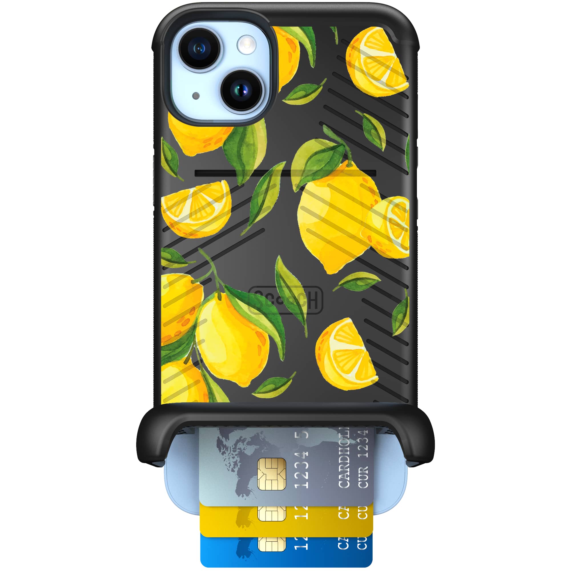 Amalfi Lemons Bundle Image 061