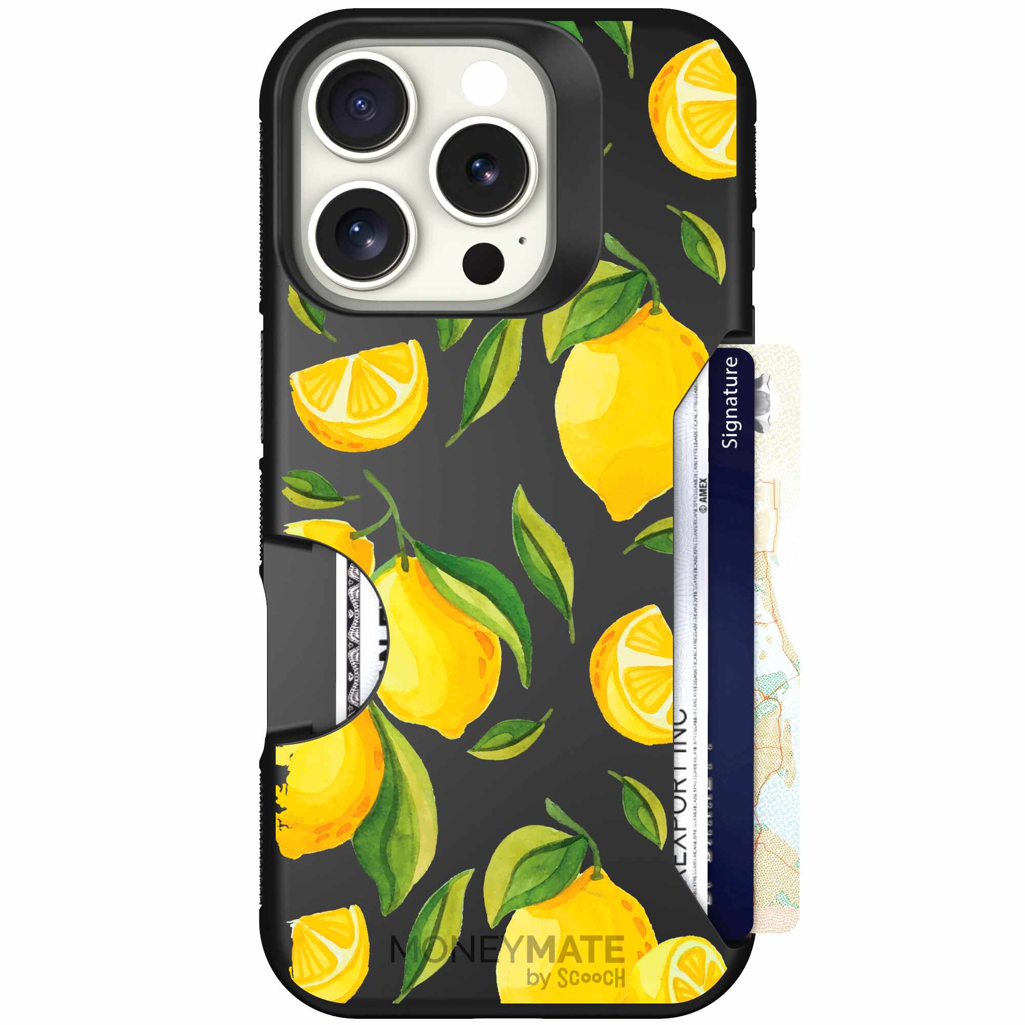 Amalfi Lemons | website | iPhone 16 Pro | Case