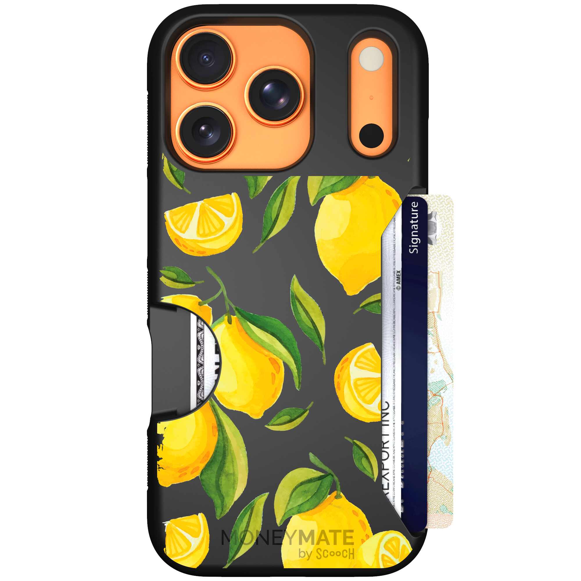 Amalfi Lemons | website | iPhone 17 Pro | Case